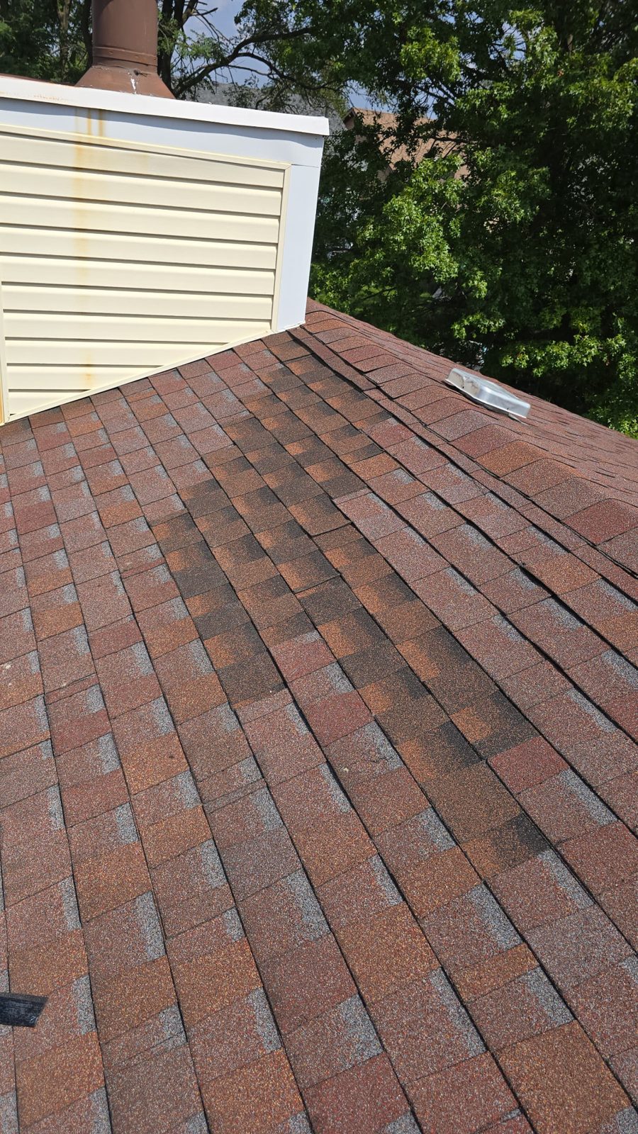 Shingle roof in Skokie before and after a small repair (After)